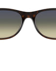 New Wayfarer Classic RB2132 matte havana