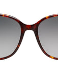Solenne Sun Tortoise