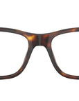 PH2273 6137 Brown Tortoise