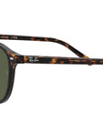 Leonard RB2193 tortoise