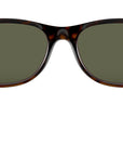 New Wayfarer Classic RB2132 tortoise