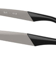 Wayfarer Deluxe RB3875 029/R5