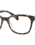 RY1591 3805 Tortoise