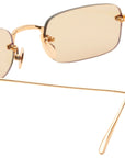 ASTRO Gold Olive