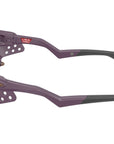 Plantaris SQ OO9529 09