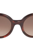 Carter FT0199 56K Classic Havana Brown