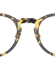 Orrison OV5544 1778 Tokyo Tortoise