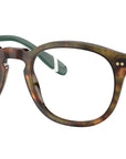 PH2267 5017 Brown Tortoise