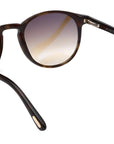 Andrea-02 FT0539 53F Classic Havana Brown