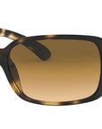 RB4068 tortoise