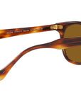 Hawkeye RB2298 954/33 striped havana