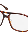 Little Eva Tortoise