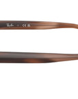 RB6529 Optics 3182