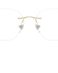 RB8783D Optics 1251