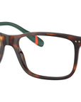 PH2273 6137 Brown Tortoise