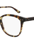 BV0121O shiny spotted tortoise