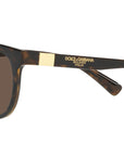 DG 6148 330673 tortoise