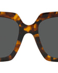 VE4434 511987 tortoise