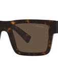 PR 19WS tortoise