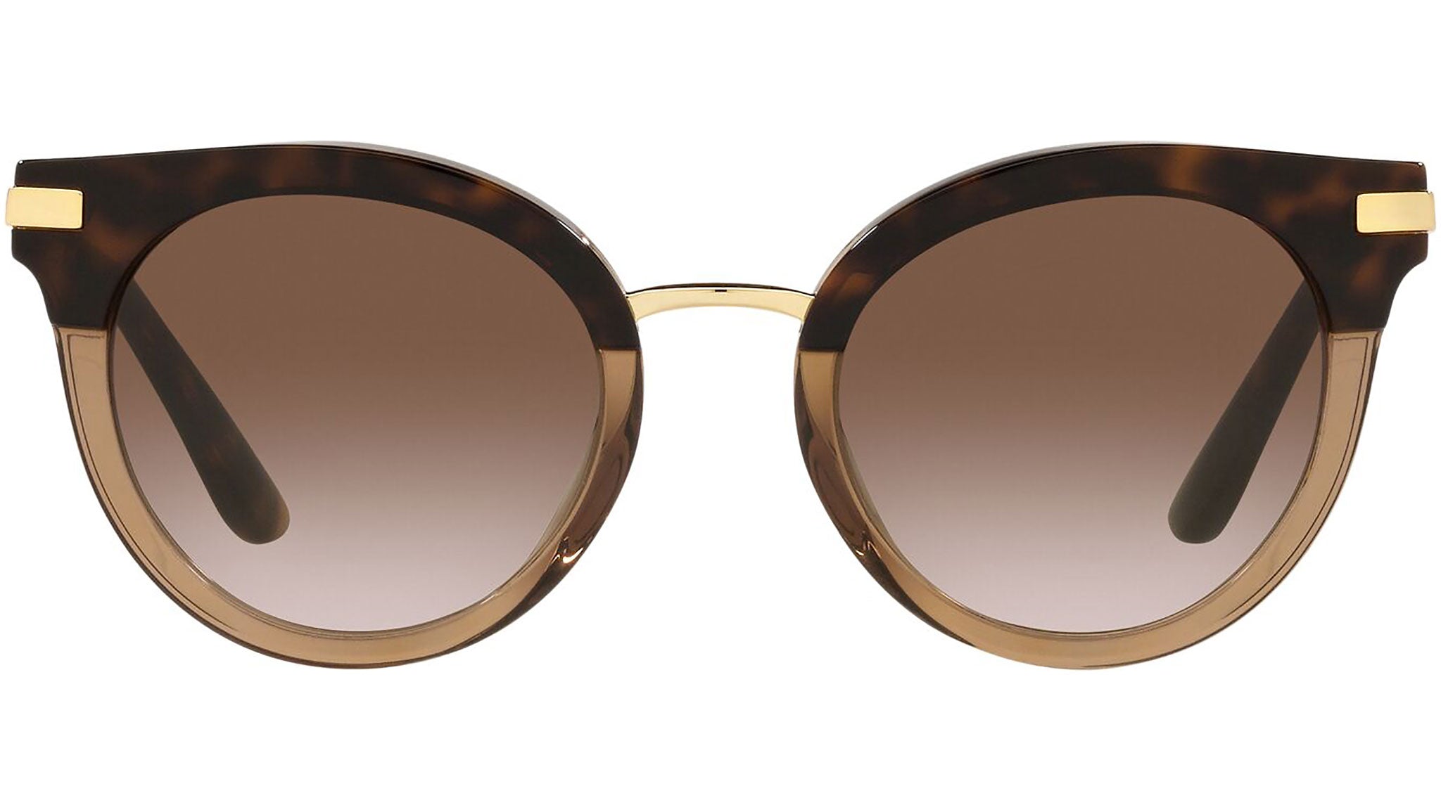 DG 4394 325613 tortoise