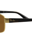 RB3663 brown polarized