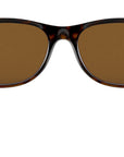 New Wayfarer Classic RB2132 brown tortoise