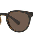 DG 6148 330673 tortoise