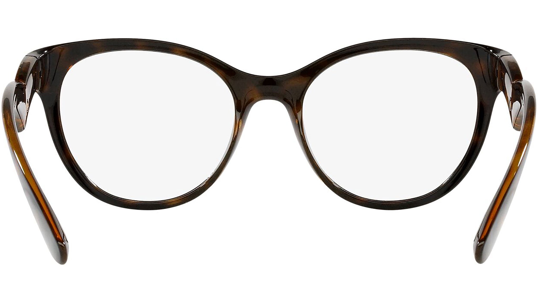 DG 5069 502 tortoise