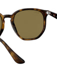RB4306 710/73 light havana