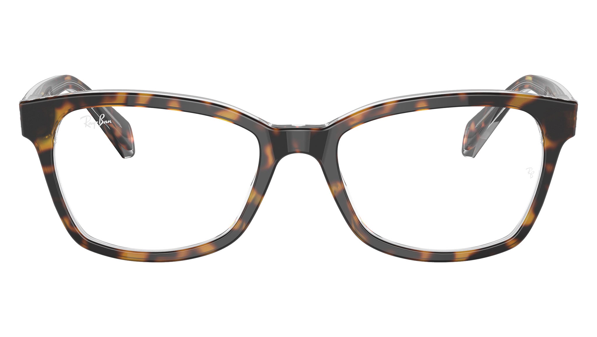 RY1591 3805 Tortoise