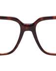 Waters 6551 2 Tortoise