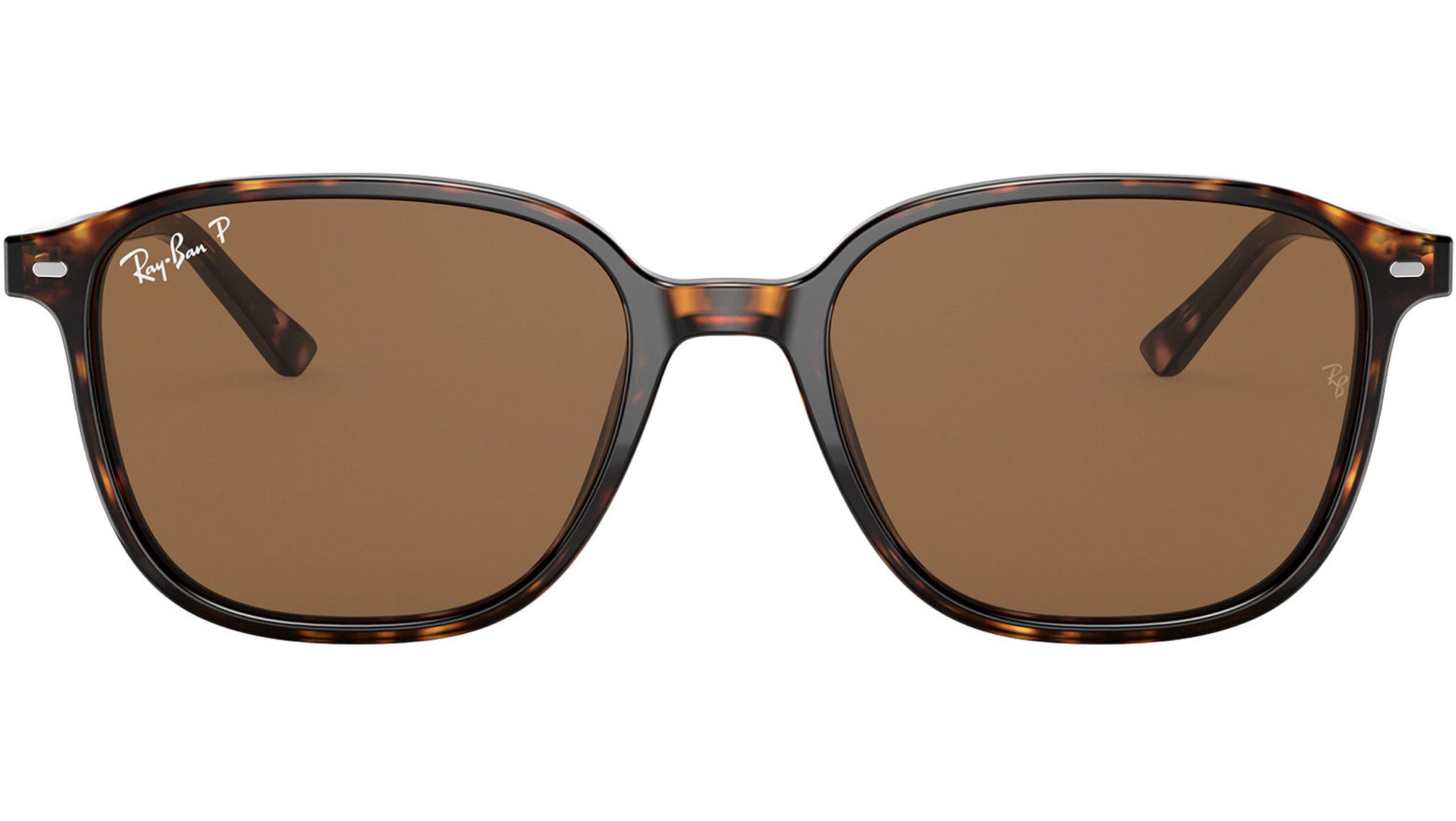 Leonard RB2193 tortoise classic polar