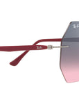 RB8065 003/H9 amaranth on silver
