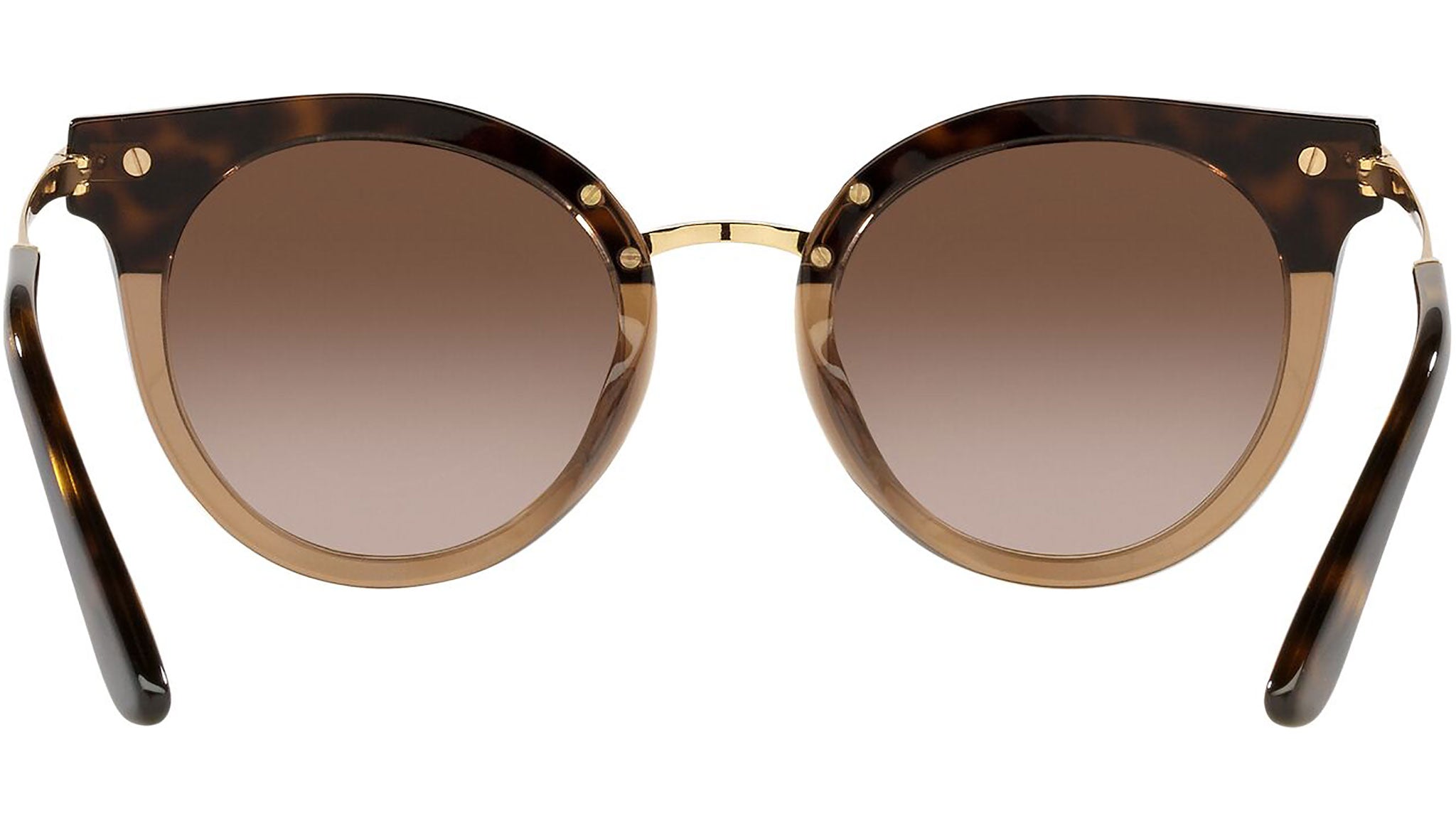 DG 4394 325613 tortoise