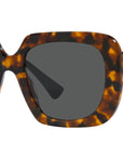 VE4434 511987 tortoise