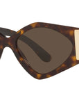 DG 4396 502/73 tortoise