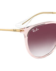 Erika RB4171 67428H