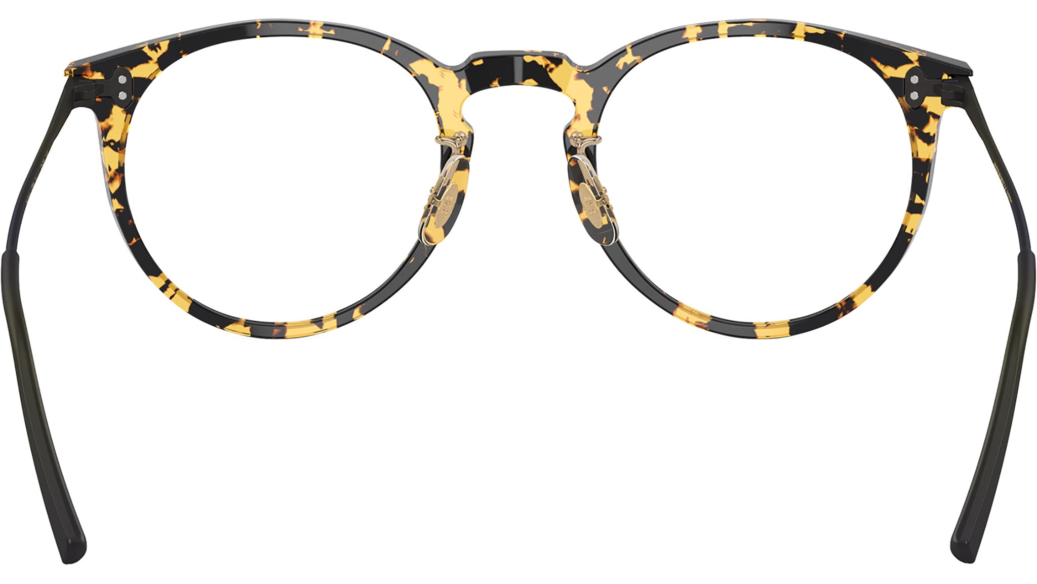 Orrison OV5544 1778 Tokyo Tortoise