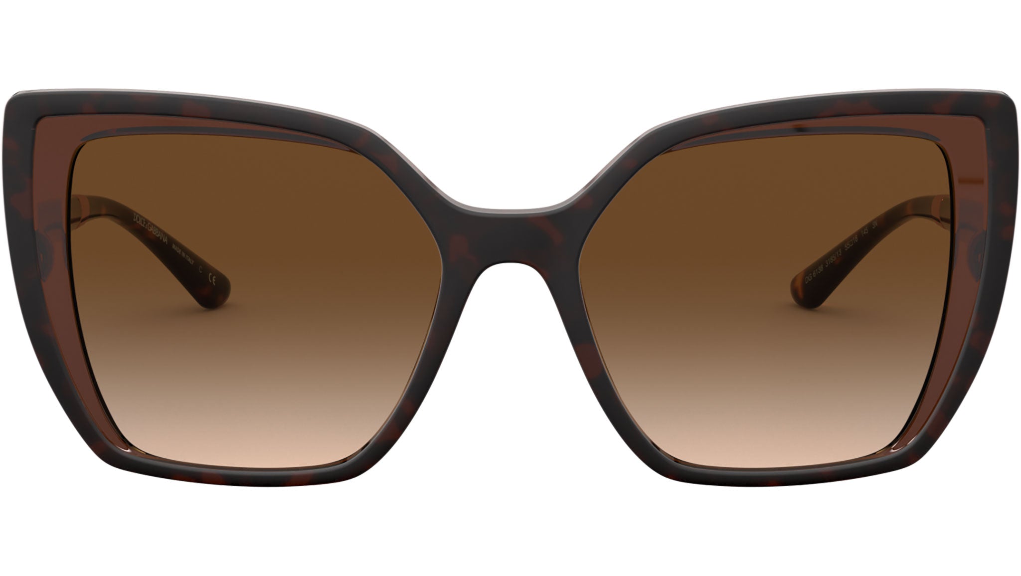 DG 6138 318513 tortoise