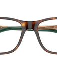 PH2273 6137 Brown Tortoise