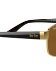 RB3663 brown polarized