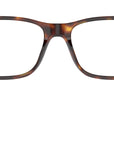 PH2273 6137 Brown Tortoise