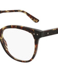 BV0121O shiny spotted tortoise