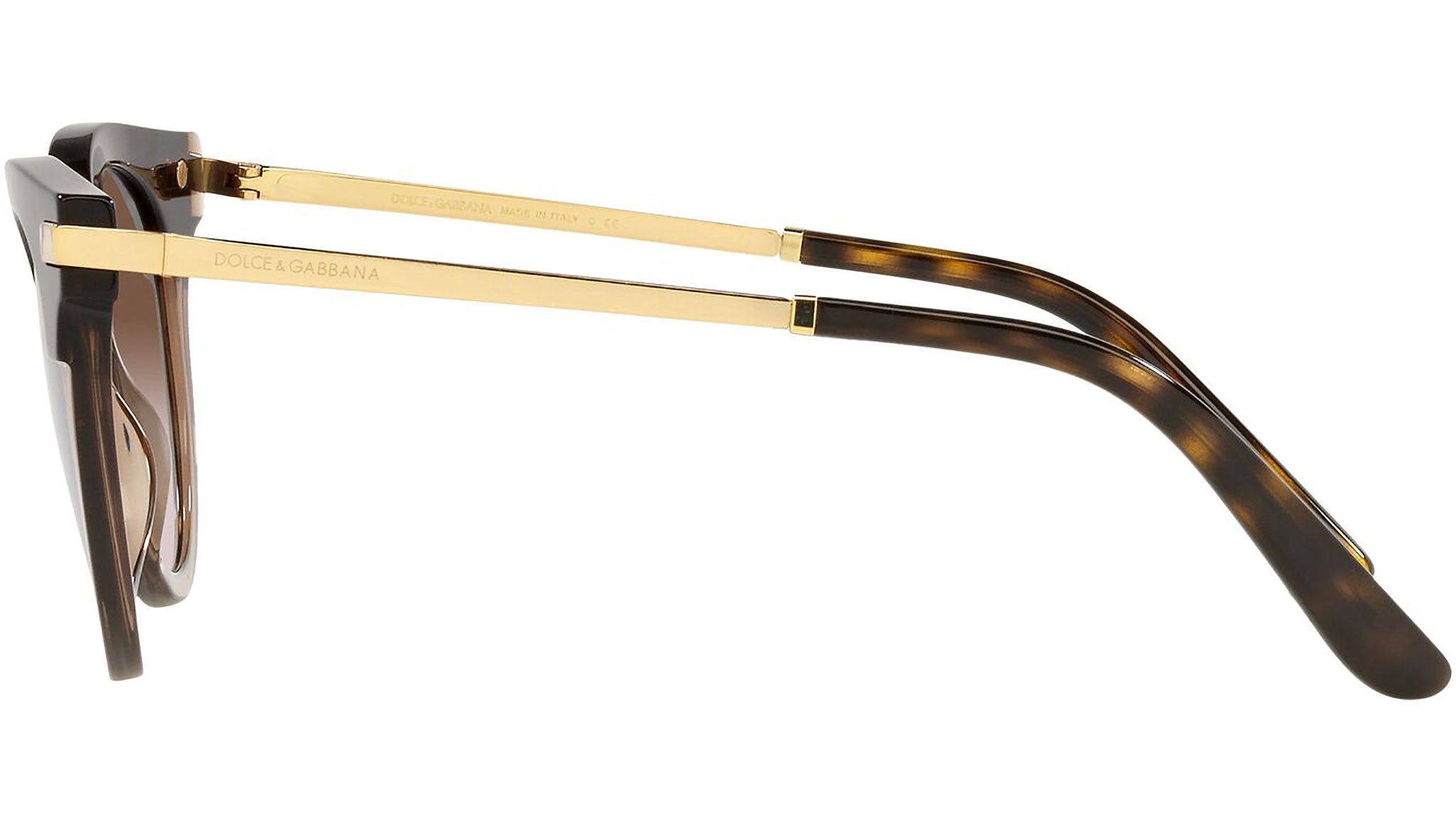 DG 4394 325613 tortoise