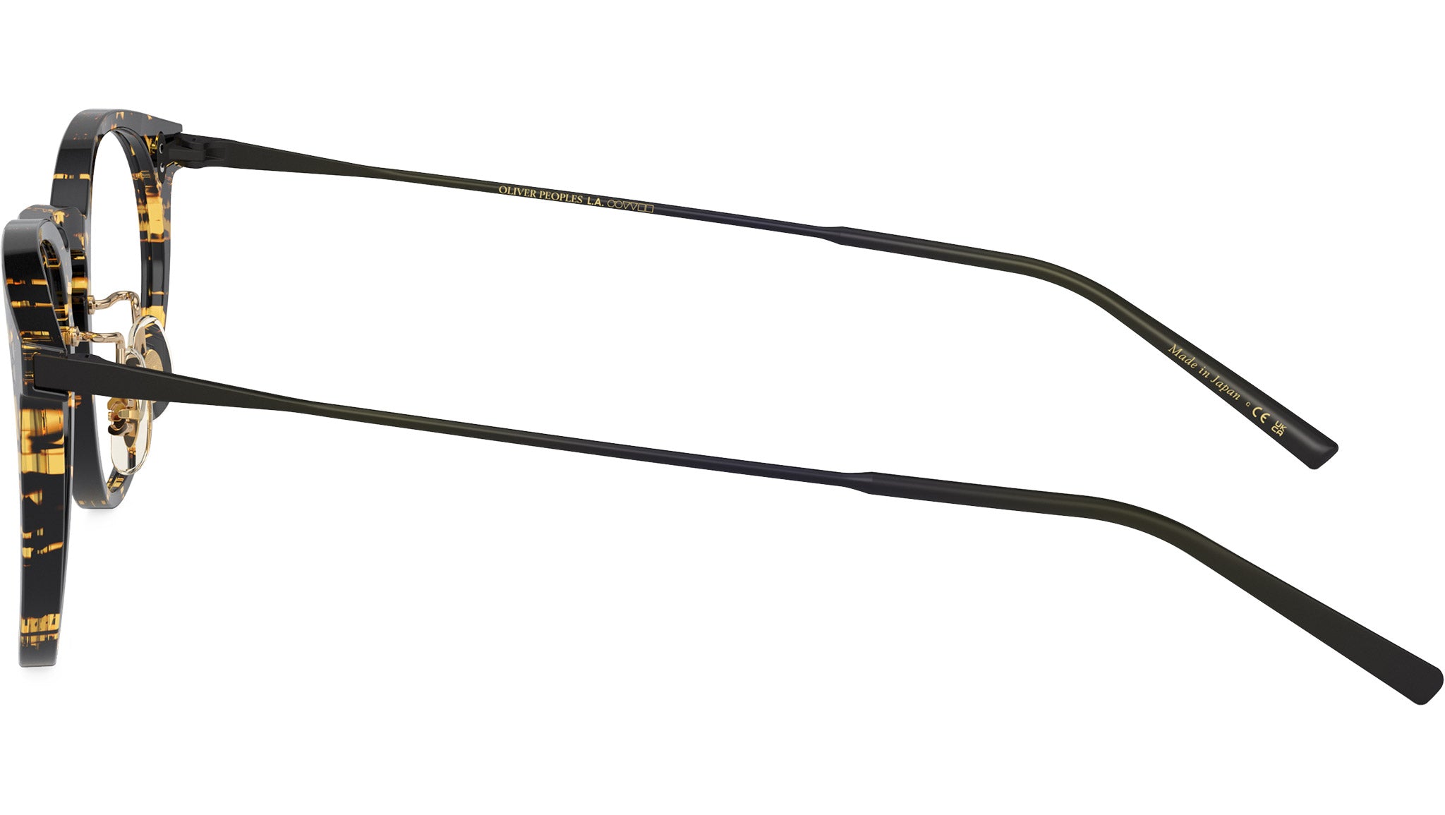 Orrison OV5544 1778 Tokyo Tortoise
