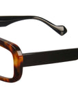 Gaio Havana