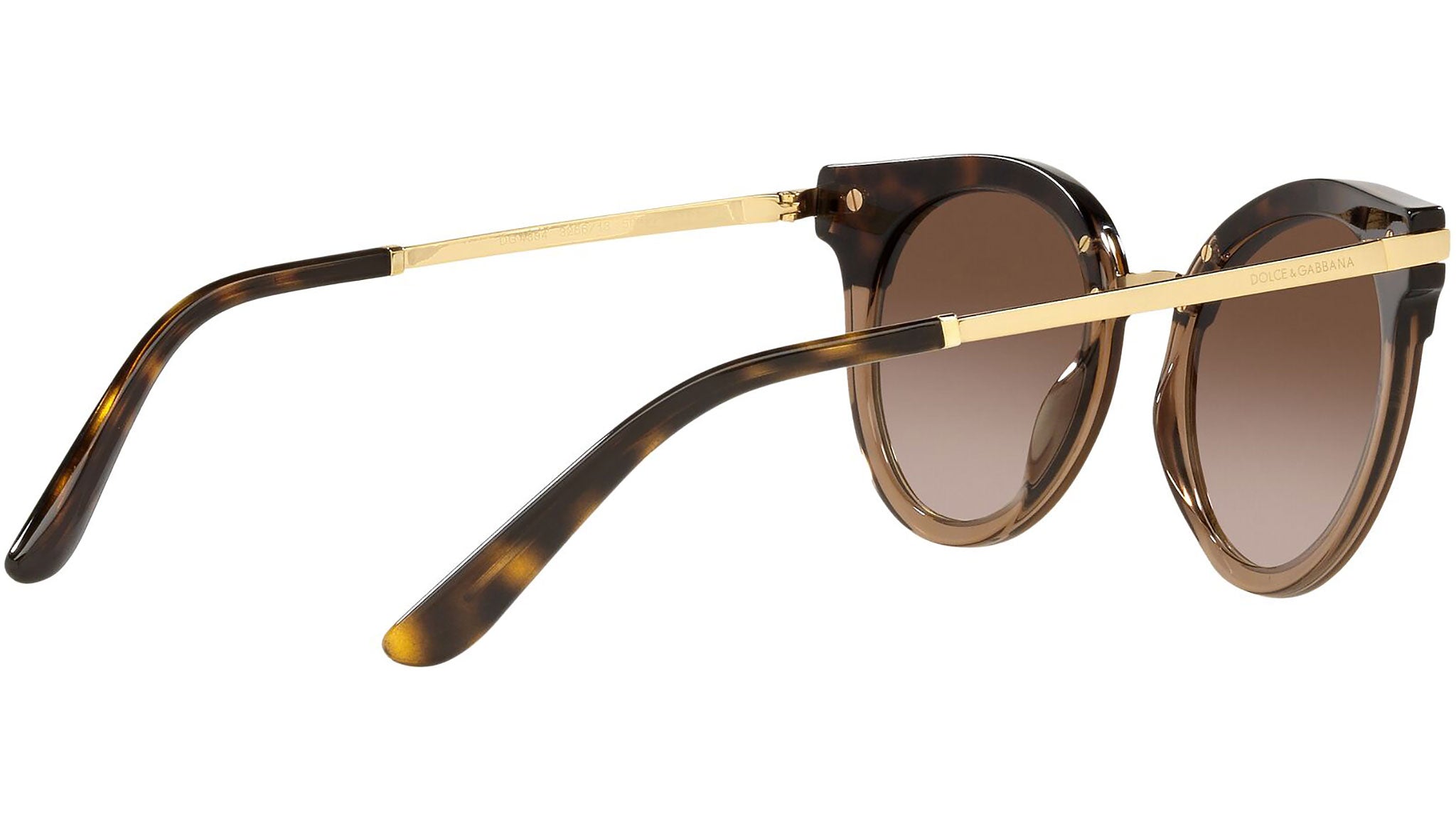 DG 4394 325613 tortoise