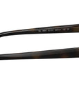 RB3663 brown polarized