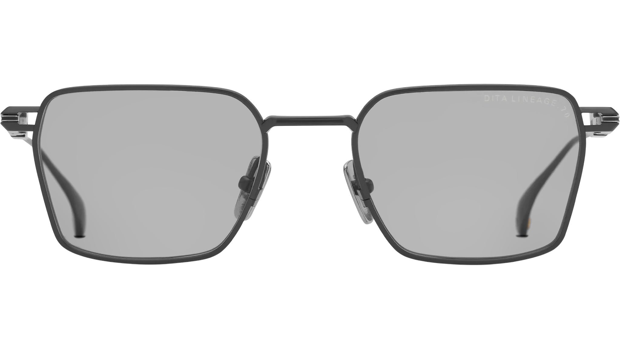 Lineage.70 DTX206 01