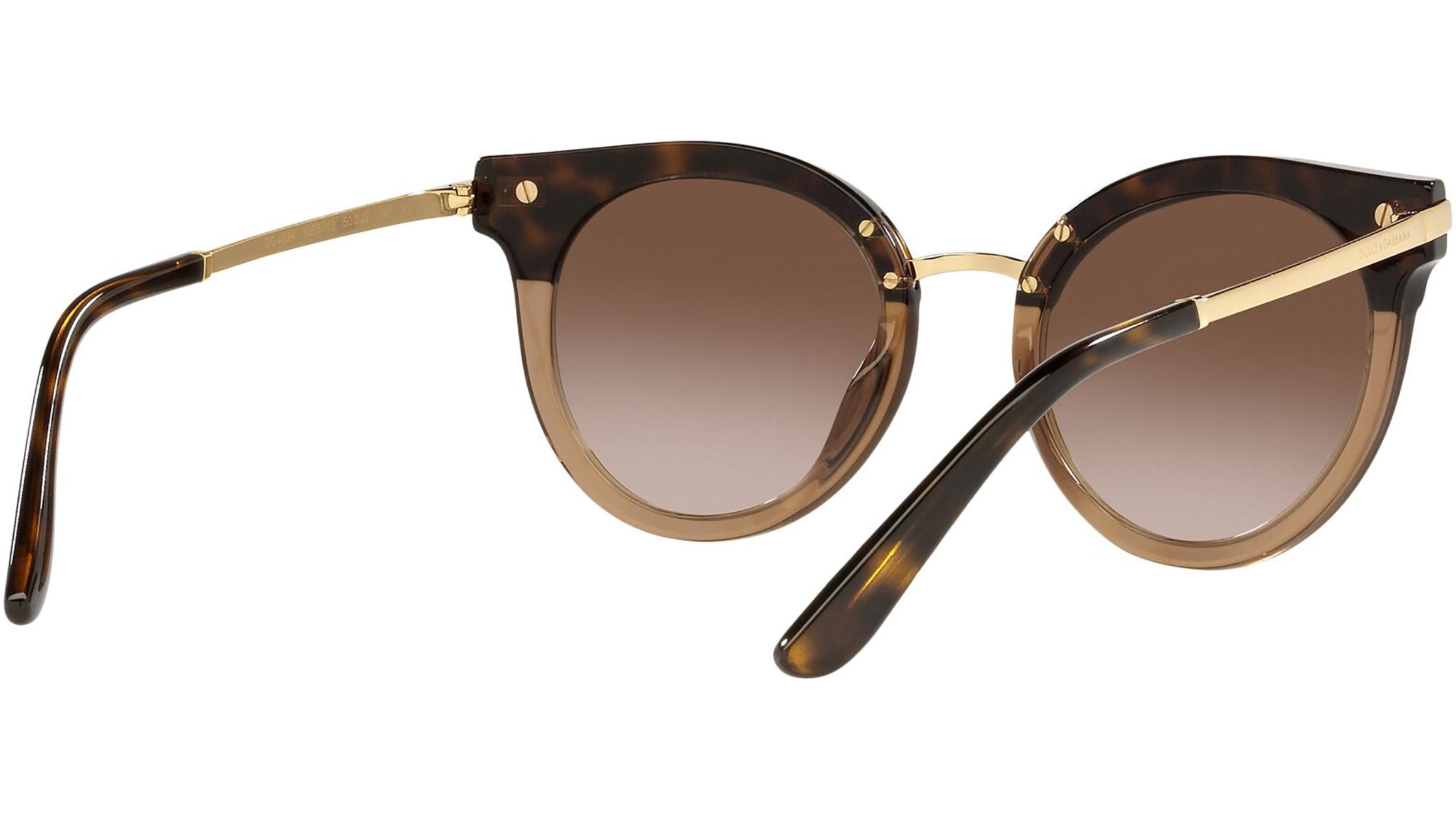 DG 4394 325613 tortoise